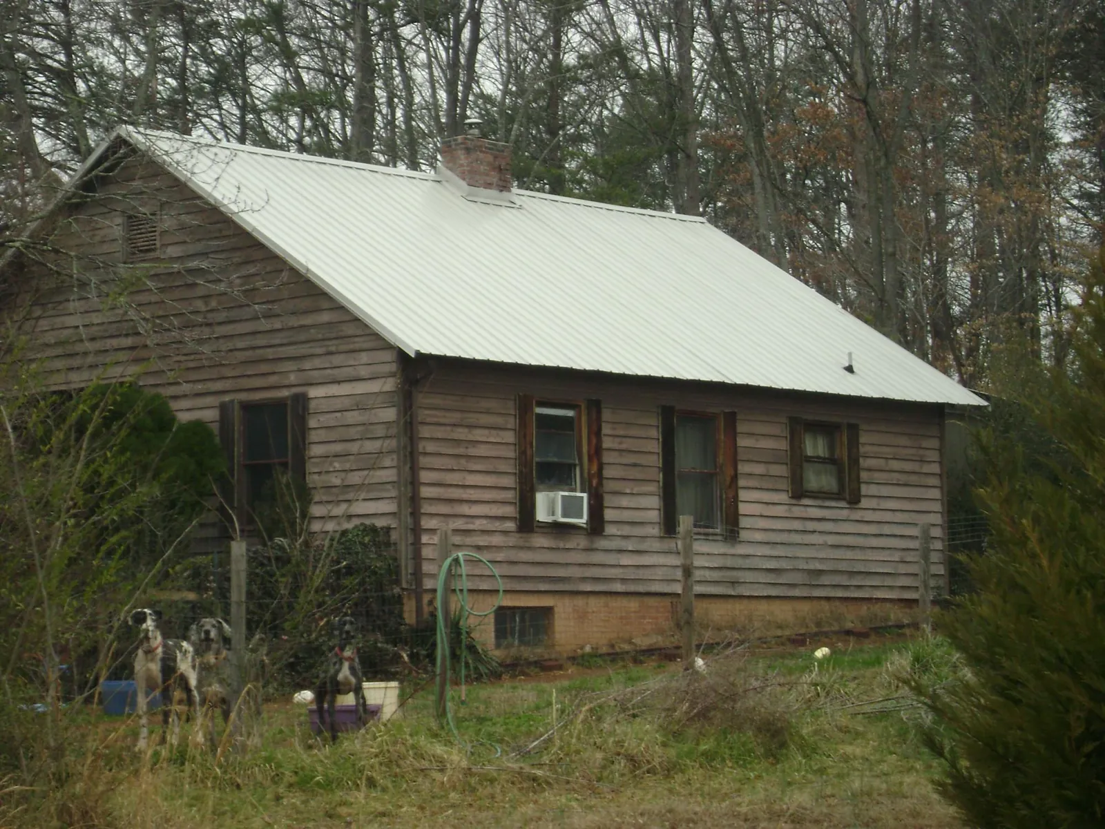 White metal roof on an old wood sided farmhouse, from a Asphalt Shingle Roof Repair job in Live Oak